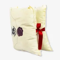 ALMOFADA FORMATO CARTA HOGWARTS – HARRY POTTER  - imagem 1