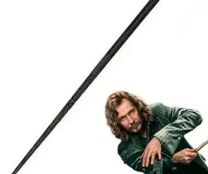 VARINHA SIRIUS BLACK - HARRY POTTER 