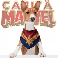 BANDANA PET CAPITÃ MARVEL  - imagem 1