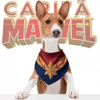 BANDANA PET CAPITÃ MARVEL  - imagem 1