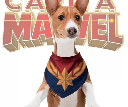 BANDANA PET CAPITÃ MARVEL 