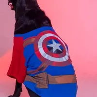 ROUPA PET CAPITÃO AMÉRICA  - imagem 1
