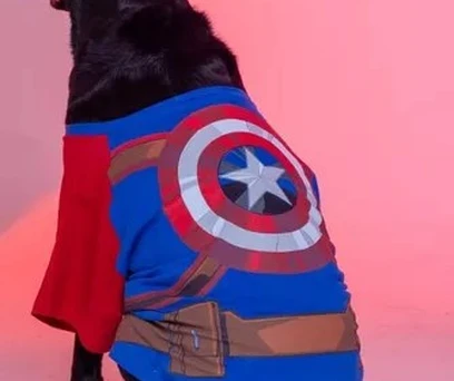 ROUPA PET CAPITÃO AMÉRICA 