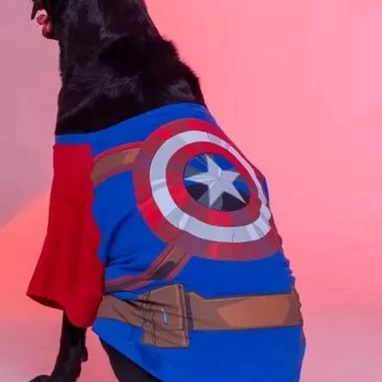 ROUPA PET CAPITÃO AMÉRICA 