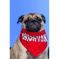BANDANA PET HOMEM DE FERRO  - imagem 1