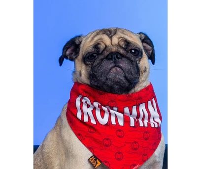 BANDANA PET HOMEM DE FERRO 