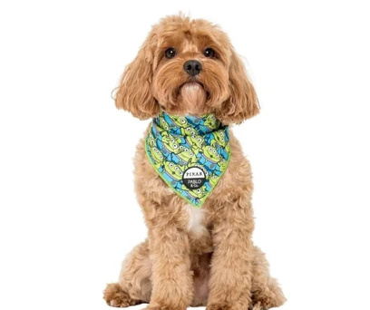 BANDANA PET ALIEN TOY STORY 