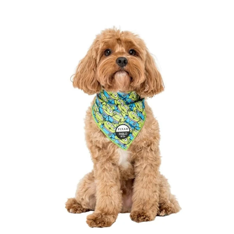 BANDANA PET ALIEN TOY STORY 