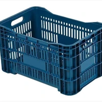 Caixa Plástica Agrícola Vazada - 20 KG 50 litros - AZUL - imagem 1