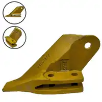 Dente Lateral  - imagem 1