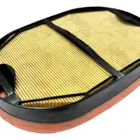 Filtro de Ar Secundário 2277449 GTT PARTS  - imagem 2