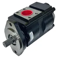 Bomba Dupla 332/F9029  GTT PARTS  - imagem 10