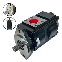 Bomba Dupla 332/F9029  GTT PARTS  - imagem 1