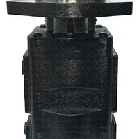 Bomba Dupla 332/F9029  GTT PARTS  - imagem 8