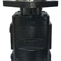 Bomba Dupla 332/F9029  GTT PARTS  - imagem 8