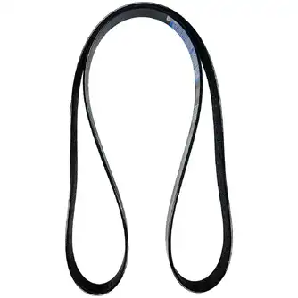 Correia Motor Ventilador/Alternador (8PK) 320/08608  GTT PARTS 