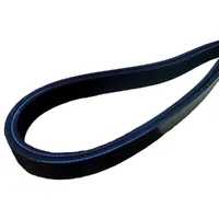 Correia  - imagem 2