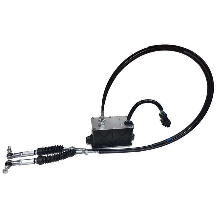 Motor do Acelerador 2475212