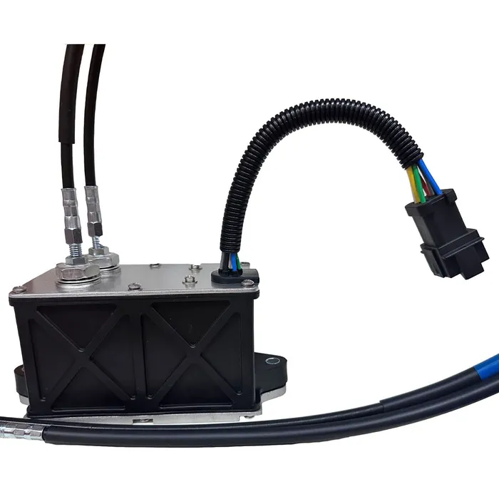 Motor do Acelerador 2475212