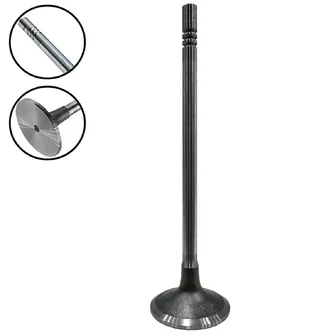 Válvula de Escape 320/03698 GTT PARTS 