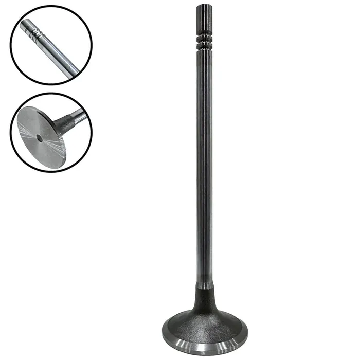 Válvula de Escape 320/03698 GTT PARTS 