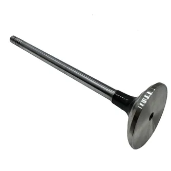 Válvula de Escape 320/03698 GTT PARTS 