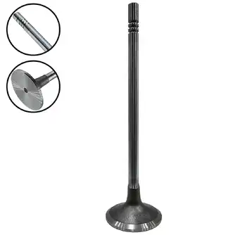 Válvula de Admissão 320/03697 GTT PARTS 