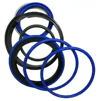 Reparo do Cilindro da Lança 991/00145 GTT PARTS  - imagem 1