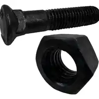 Parafuso e Porca do Dente Central  75238351 e 6001124  GTT PARTS  - imagem 4