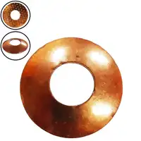 Arruela Satélite 808/00210  GTT PARTS  - imagem 1