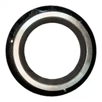 Pistão de Freio 458/20371  GTT PARTS  - imagem 2