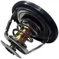 Válvula Termostática 320/04618  GTT PARTS  - imagem 6