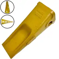 Dente Comum  - imagem 1