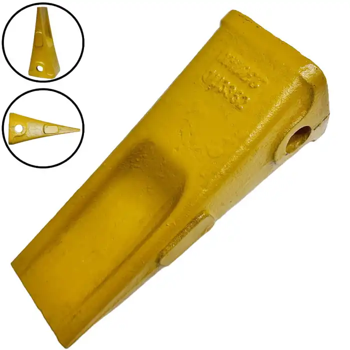 Dente Comum 