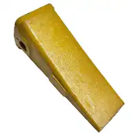 Dente Comum  - imagem 3