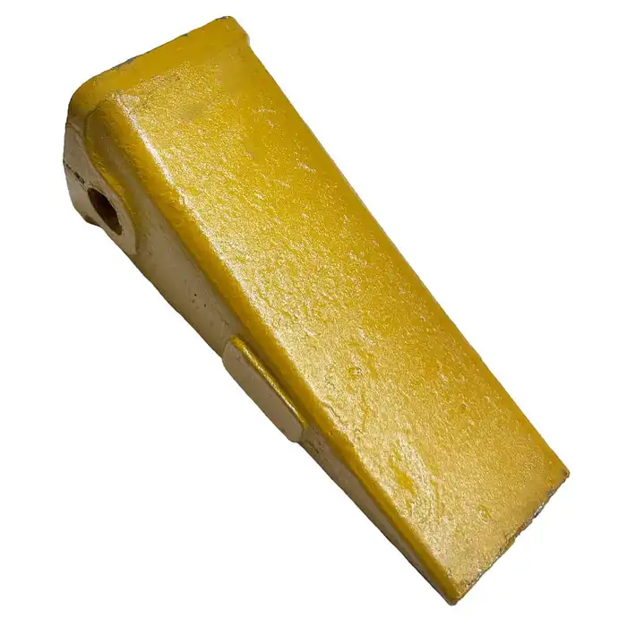 Dente Comum 