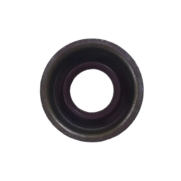 Retentor do Injetor 320/07504  GTT PSRTS 