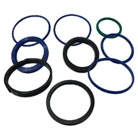 Reparo do Cilindro de Profundidade  991/00148  GTT PARTS  - imagem 1