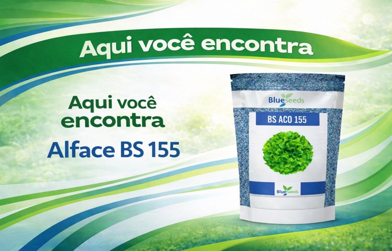BS 155