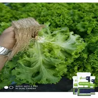 Kit Flex - Adubação pronta para folhosas 25,0 kg - imagem 1