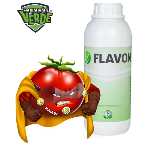 Flavon 1,0 L, extraído de chá verde