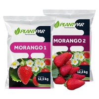 Adubo para Morango, formulação PLANTPAR  25 kg - imagem 2