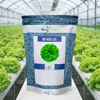 Alface Crespa BS 155 - 7,5 mil sementes - imagem 3