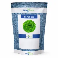 Alface Crespa BS 155 - 7,5 mil sementes - imagem 2