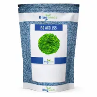 Alface Crespa BS 155 - 7,5 mil sementes - imagem 2