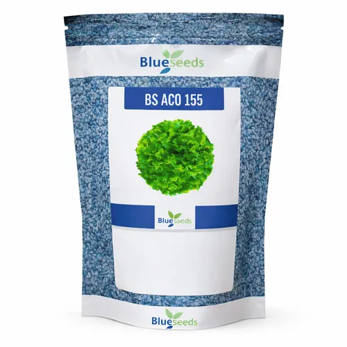 Alface Crespa BS 155 - 7,5 mil sementes