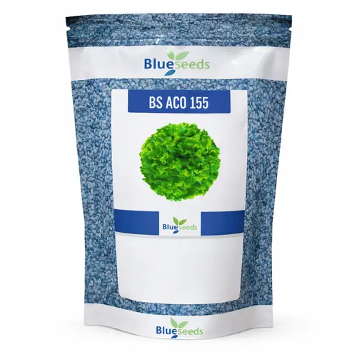 Alface Crespa BS 155 - 7,5 mil sementes