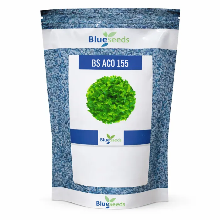 Alface Crespa BS 155 - 7,5 mil sementes