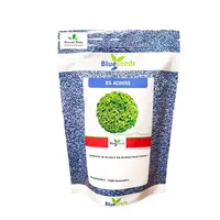 Alface Crespa BS 55 - 7,5 mil sementes - imagem 1