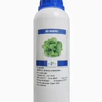 Semente de Rúcula Blue Seeds BS 81 - 500 g - imagem 2
